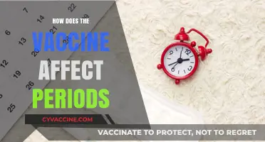 Vaccines and Menstruation: Unraveling the Impact on Periods