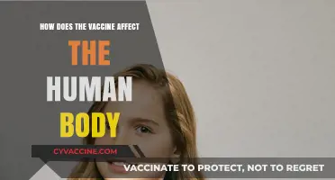 Understanding Vaccines: How They Interact with the Human Body