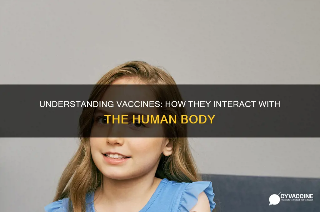 how does the vaccine affect the human body