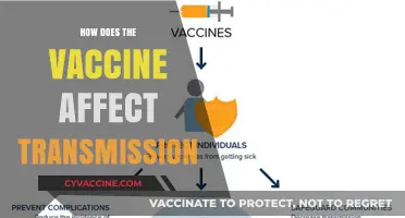 Vaccine Impact: Reducing Transmission Rates and Community Spread Explained