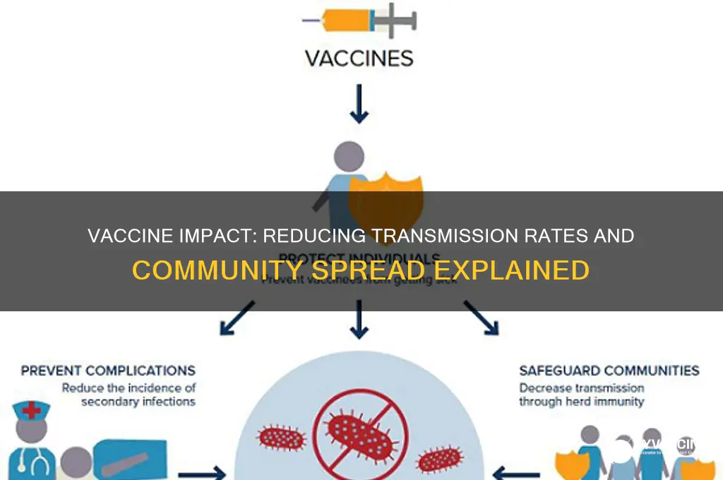 how does the vaccine affect transmission