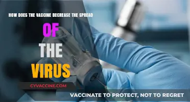 Vaccines Curb Virus Spread: Understanding Their Role in Community Protection