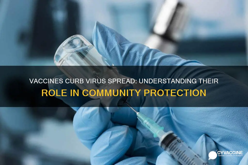 how does the vaccine decrease the spread of the virus