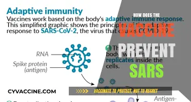 Understanding How SARS Vaccines Boost Immunity and Prevent Severe Illness