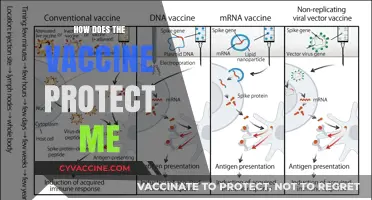 Understanding Vaccine Protection: How It Safeguards Your Health Effectively