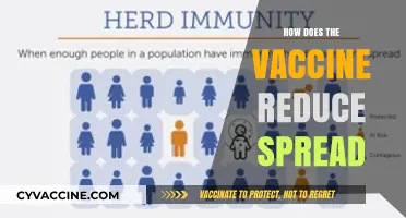 Vaccines Curb COVID-19 Transmission: How They Reduce Community Spread