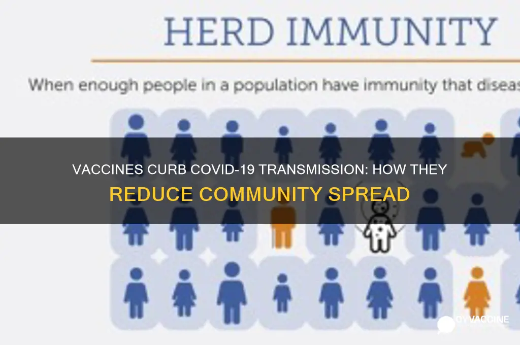 how does the vaccine reduce spread