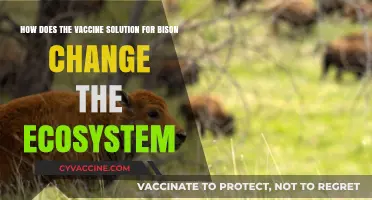 Vaccine Solution for Bison: Transforming Ecosystems and Restoring Balance