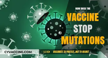 Vaccines vs. Mutations: How Immunization Prevents Viral Evolution