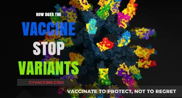 Understanding How Vaccines Combat Emerging COVID-19 Variants Effectively