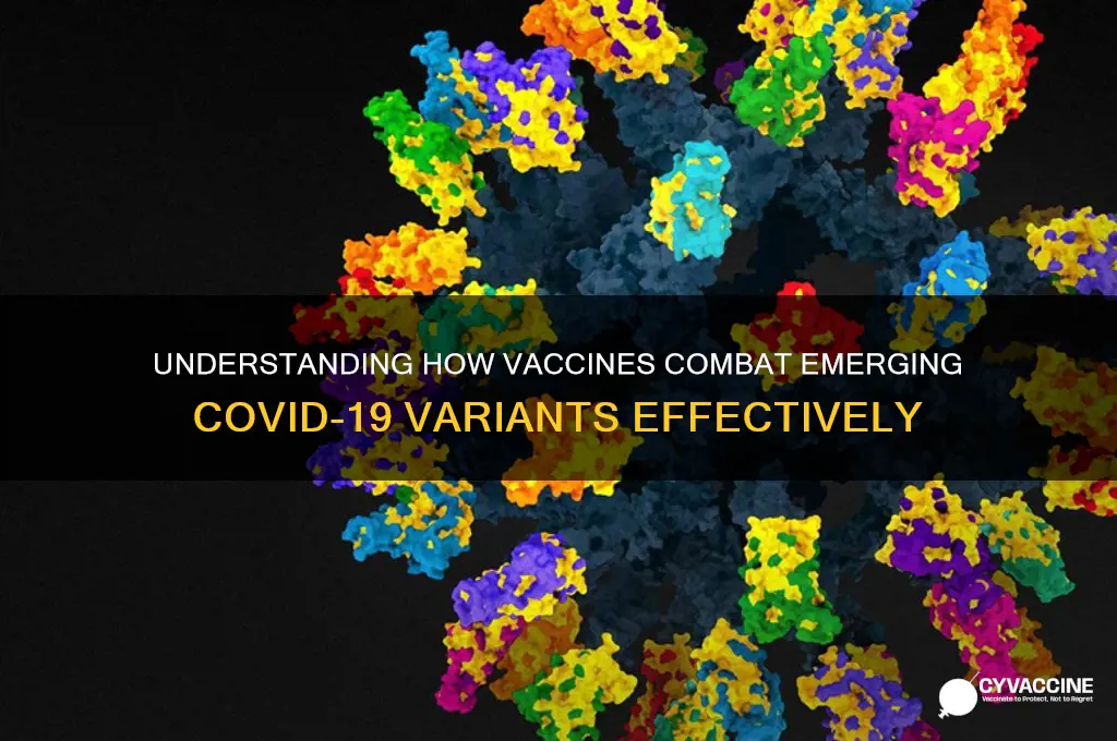 how does the vaccine stop variants