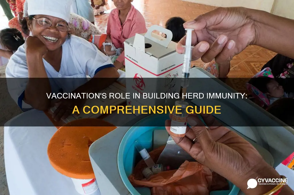 how does vaccination contribute to the development of herd immunity