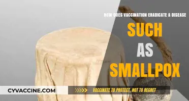 Vaccination's Triumph: How Smallpox Was Eradicated Through Immunization