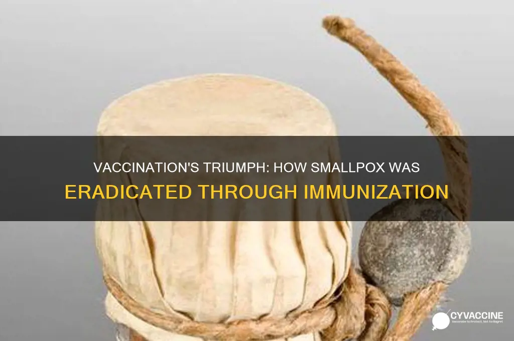 how does vaccination eradicate a disease such as smallpox