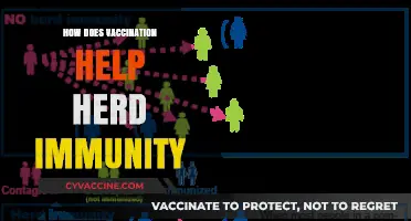Vaccination's Role in Strengthening Herd Immunity: A Comprehensive Guide