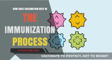 Vaccination's Role in Strengthening Immunity and Preventing Diseases