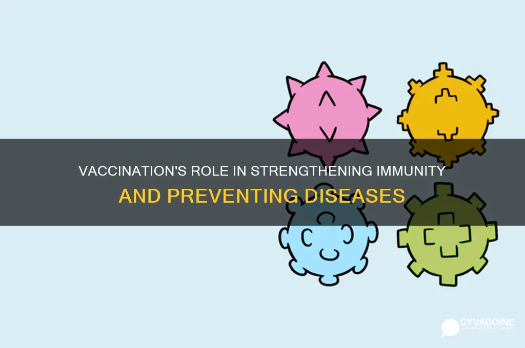 how does vaccination help in the immunization process