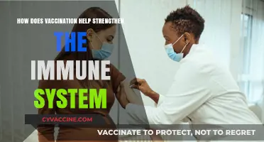 Vaccination's Role in Boosting Immune System Strength and Resilience