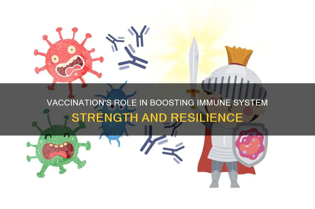 how does vaccination help strengthen the immune system