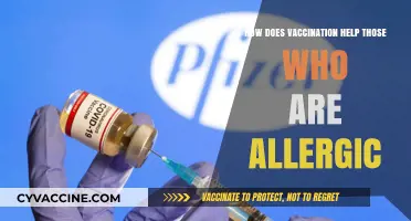 Vaccination and Allergies: Safeguarding Health Through Immunization Strategies