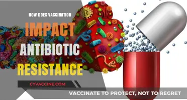 Vaccination's Role in Combating Antibiotic Resistance: A Crucial Connection