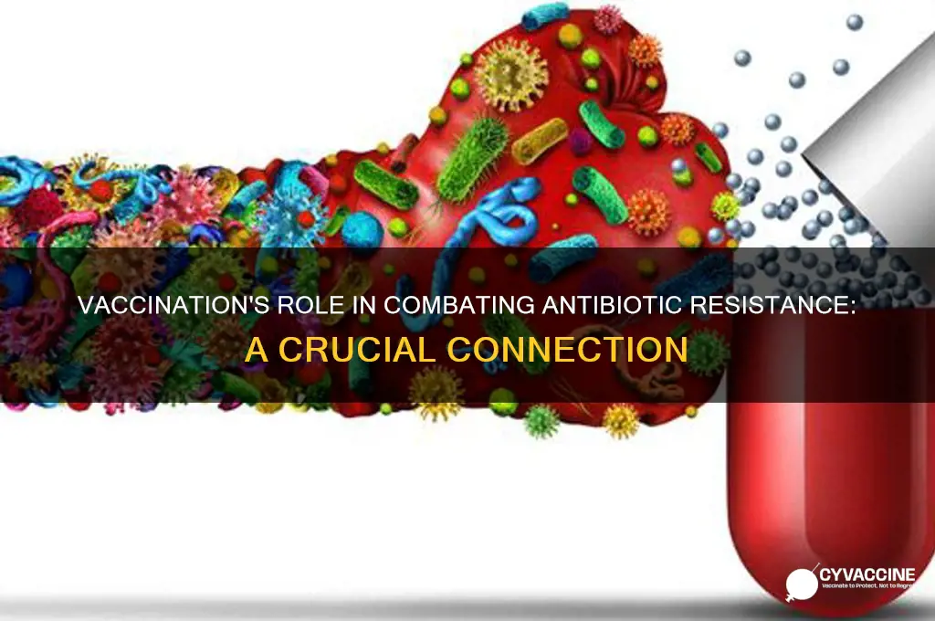 how does vaccination impact antibiotic resistance