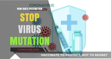 Vaccination's Role in Preventing Viral Mutations and Ensuring Public Health
