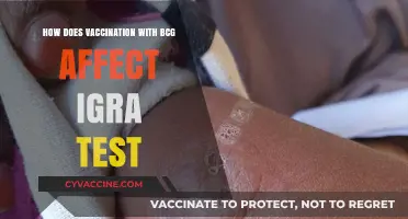 BCG Vaccination Impact on IGRA Test Results: What You Need to Know