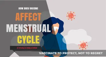 Vaccines and Menstrual Cycles: Understanding Potential Impacts and Changes