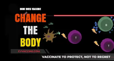 How Vaccines Transform Your Body's Immune Response and Health