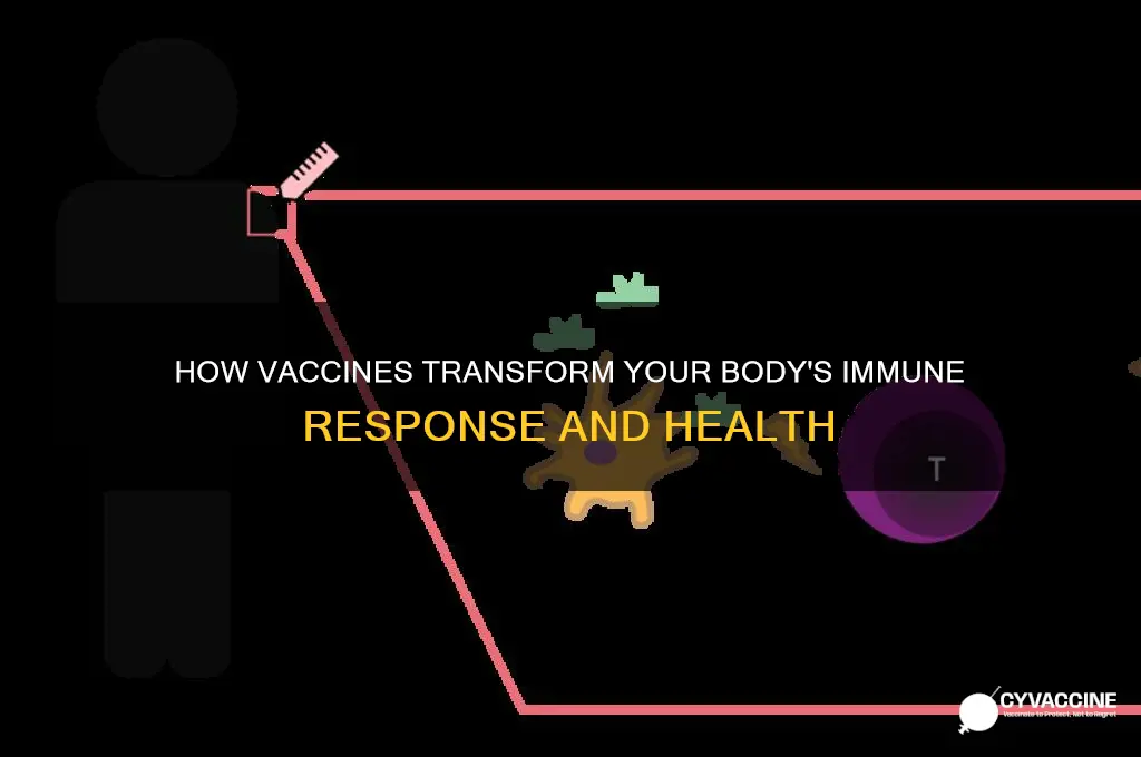 how does vaccine change the body