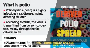 Understanding Vaccine-Derived Polio Spread: Causes, Risks, and Prevention