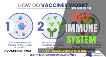 How Vaccines Strengthen Your Immune System: A Comprehensive Guide