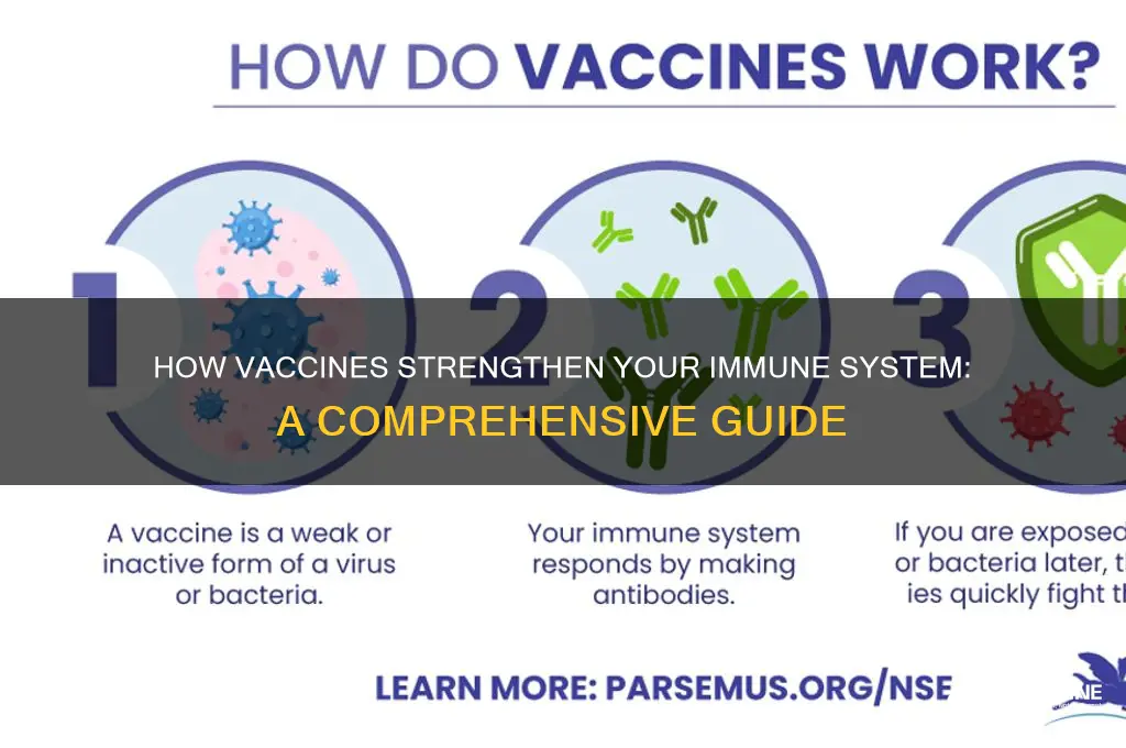 how does vaccine help immune system