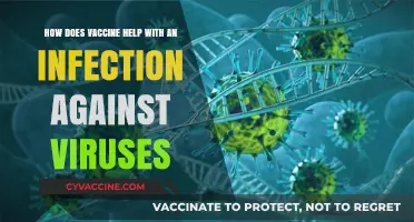 Vaccines: How They Boost Immunity and Fight Viral Infections