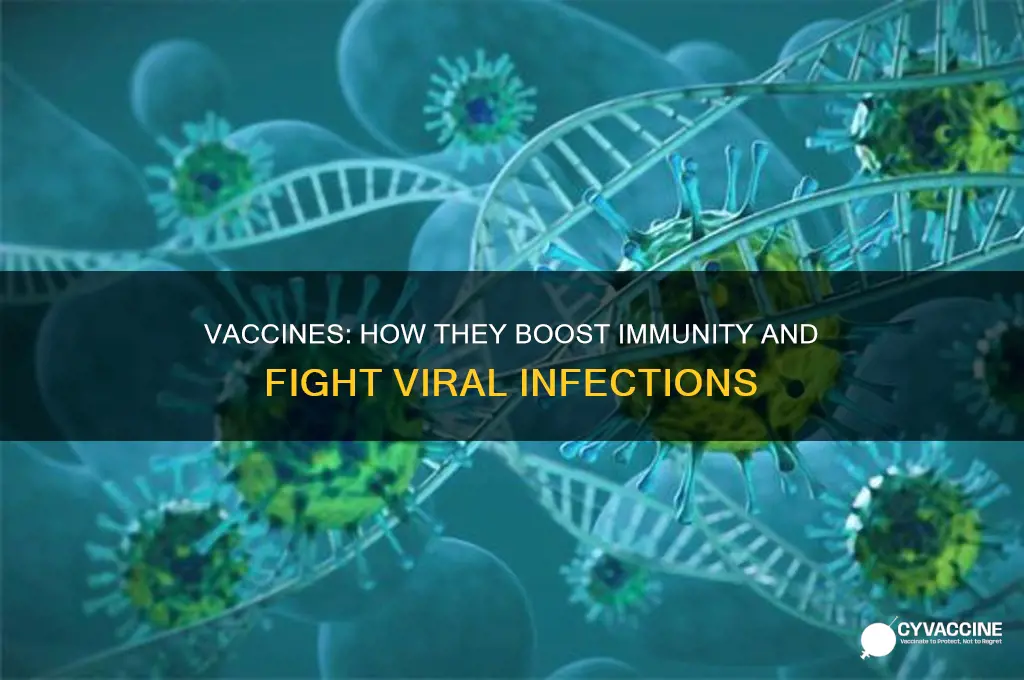 how does vaccine help with an infection against viruses