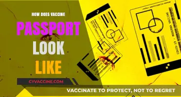 What Does a Vaccine Passport Look Like? Design and Features Explained