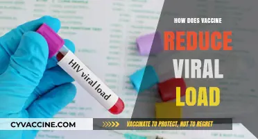 Understanding How Vaccines Lower Viral Load and Prevent Severe Illness