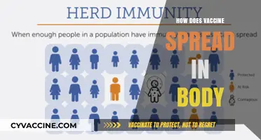 How Vaccines Travel: Understanding Immune System Distribution Mechanisms