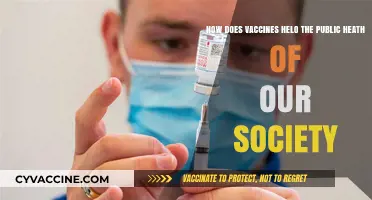 Vaccines: Safeguarding Public Health and Strengthening Our Society's Well-being