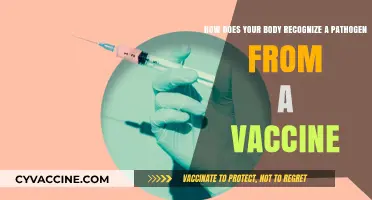 Vaccines vs. Pathogens: How Your Immune System Tells the Difference