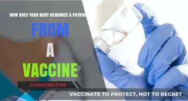 Vaccines vs. Pathogens: How Your Body Differentiates and Responds