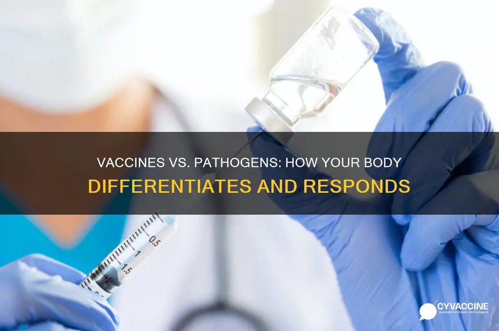 how does your body requinize a pathogen from a vaccine