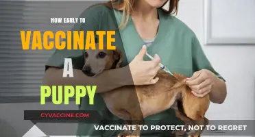 When to Start Puppy Vaccinations: A Complete Guide for New Owners