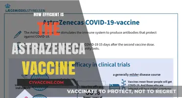 AstraZeneca Vaccine Efficiency: Efficacy, Safety, and Global Impact Explained