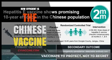 Evaluating the Efficiency of China's COVID-19 Vaccine: A Comprehensive Analysis