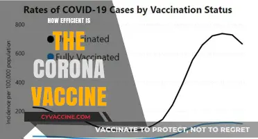 Evaluating COVID-19 Vaccine Efficiency: Efficacy, Safety, and Global Impact