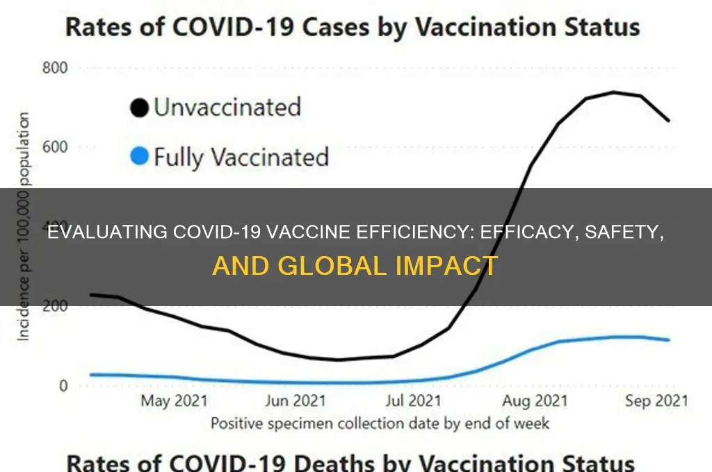 how efficient is the corona vaccine