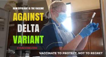 Delta Variant Defense: Assessing COVID-19 Vaccine Efficiency and Protection