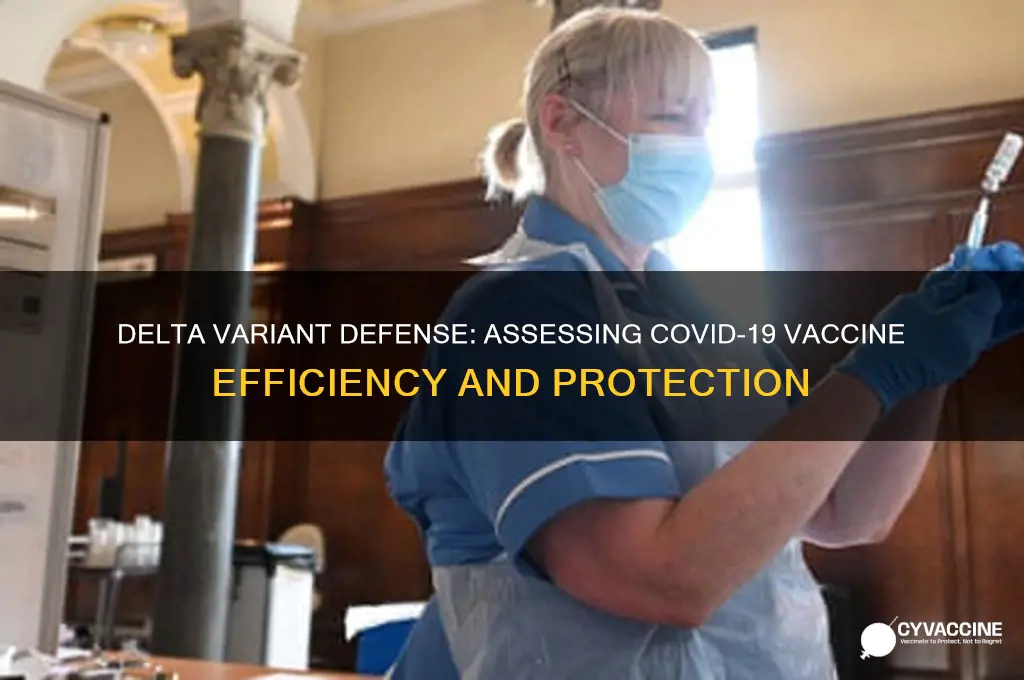 how efficient is the vaccine against delta variant